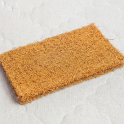 Coconut Shell Cups (1)